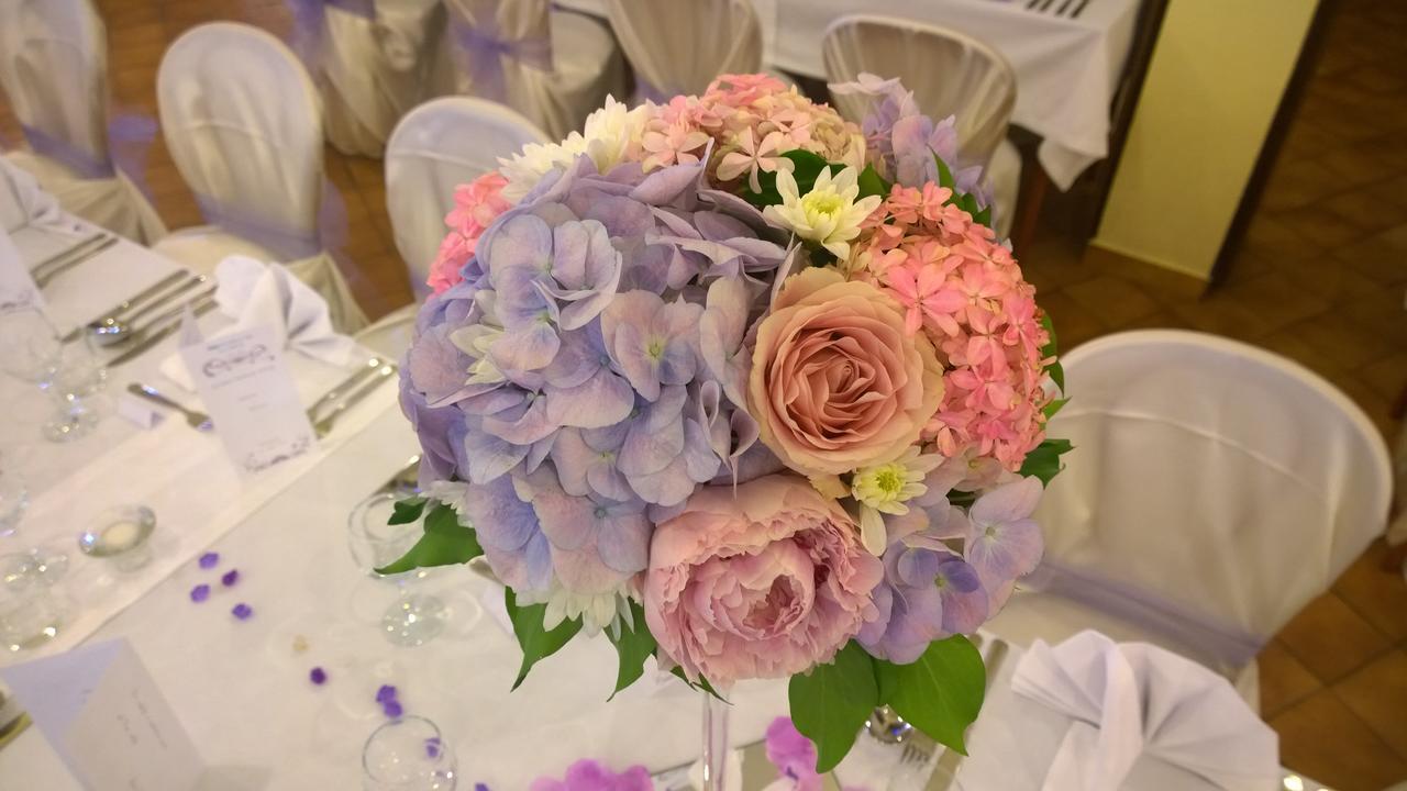 Hotel Adriatic オミサリ エクステリア 写真